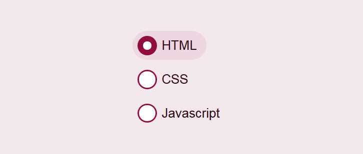 css3美化单选按钮点击选中动画特效CityMate项目资源网项目资源网