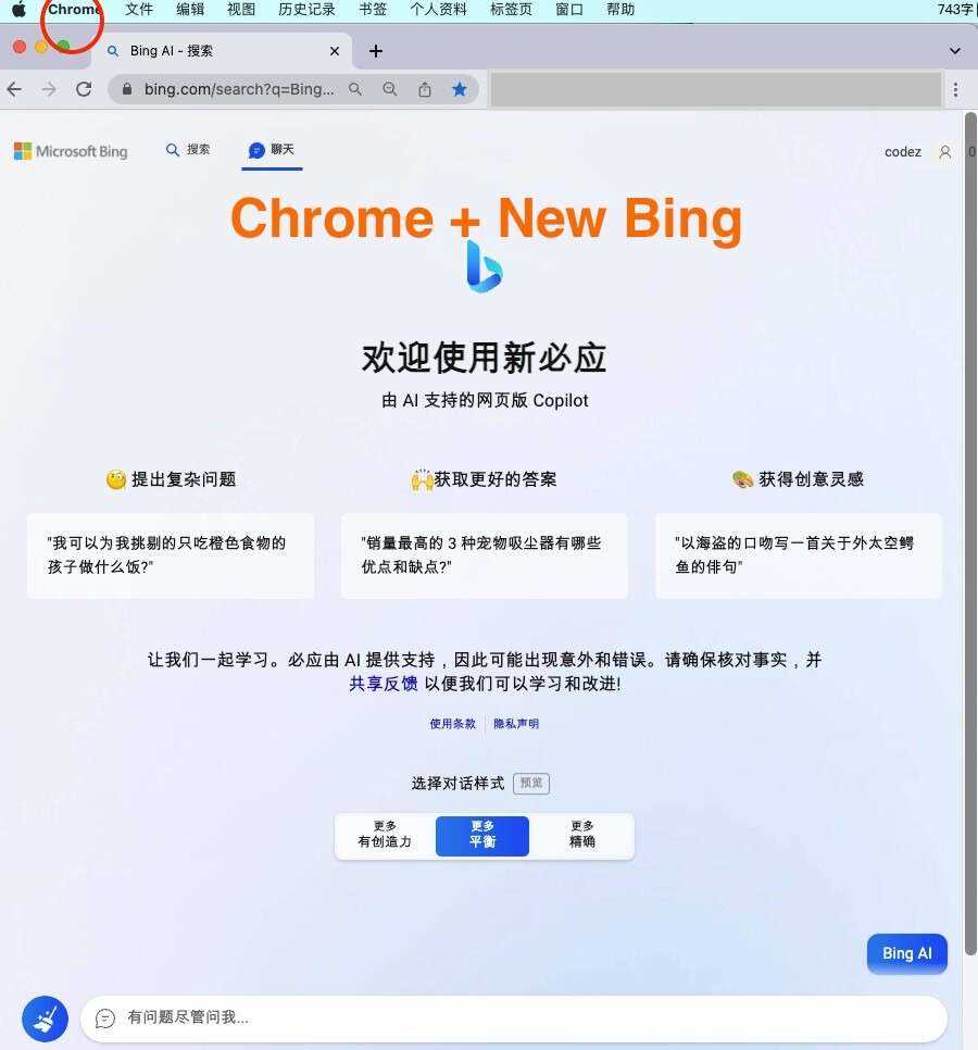 微软New Bing完美聊天机器人源码，支持ChatGPT提示词 国内可用，基本兼容微软 Bing AI 所有功能CityMate项目资源网项目资源网