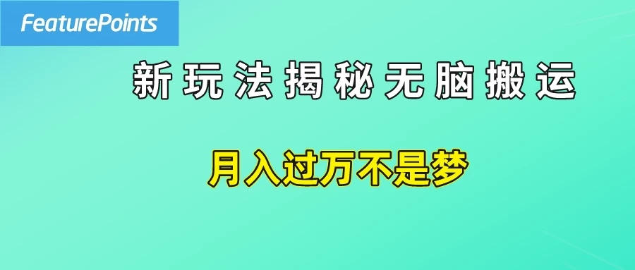 简单操作,每天50美元收入,搬运就是赚钱的秘诀!CityMate项目资源网项目资源网