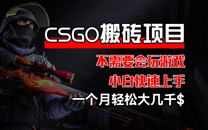CSGO 装备搬砖项目，操作简单，不需要会玩游戏，小白也能快速上手，一个月轻松大几千CityMate项目资源网项目资源网