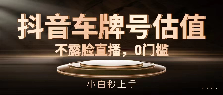 抖音车牌号估值，不露脸直播，0门槛，小白秒上手CityMate项目资源网项目资源网