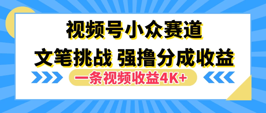 视频号小众赛道，文笔挑战，一条视频收益4K+CityMate项目资源网项目资源网