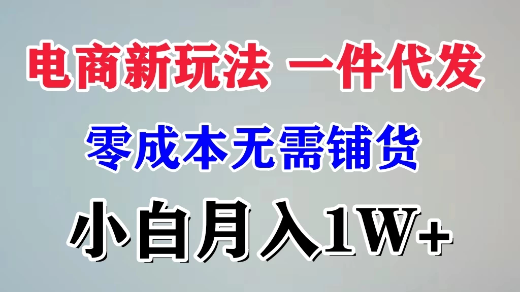 电商新玩法，一件代发，零成本无需铺货，小白月入1W+CityMate项目资源网项目资源网