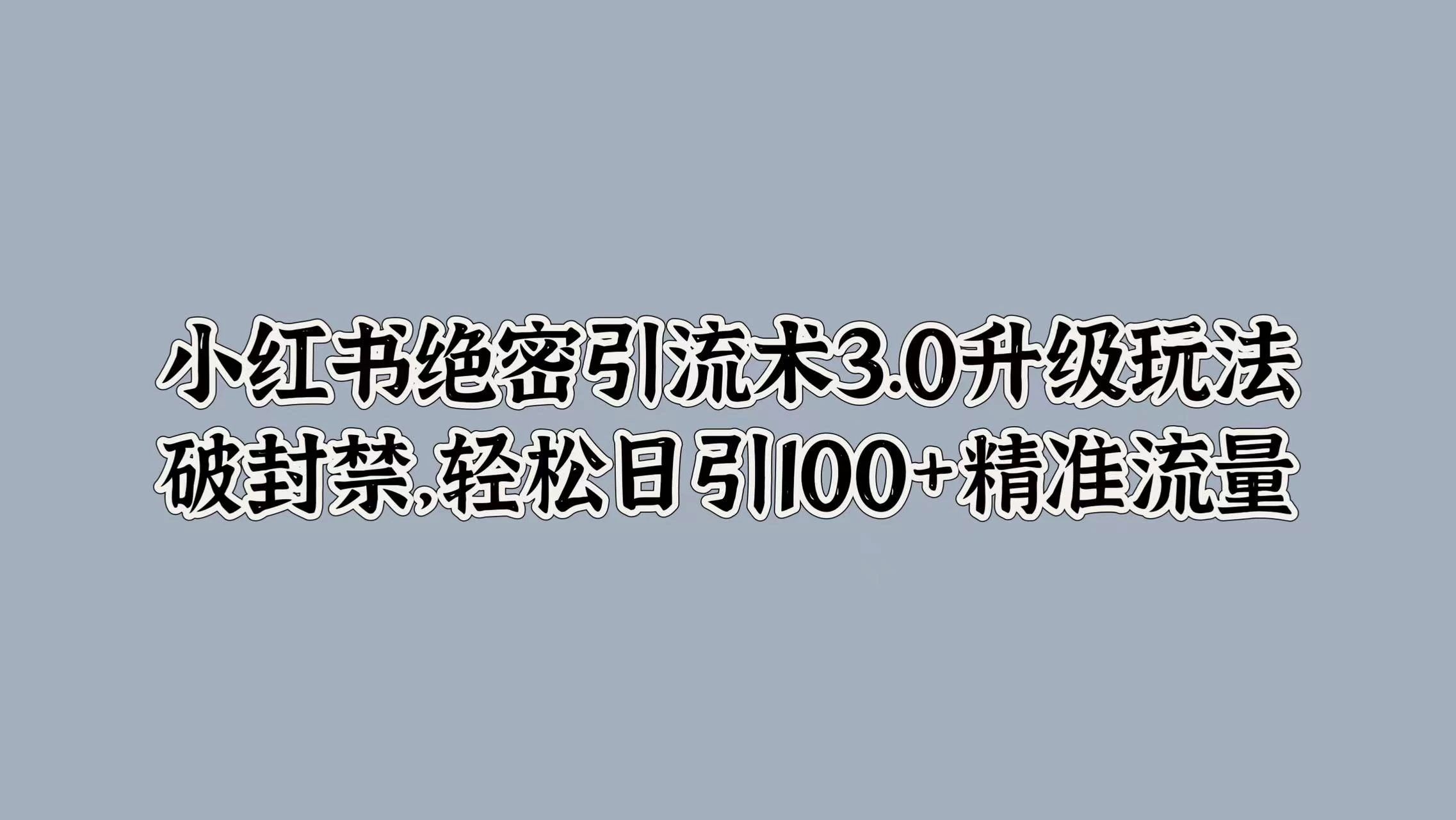 小红书绝密引流术3.0升级玩法，破封禁，轻松日引100+精准流量CityMate项目资源网项目资源网