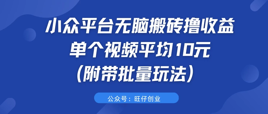 小众平台无脑搬砖撸收益，单个视频平均10元 (附带批量玩法）CityMate项目资源网项目资源网