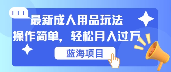 最新成人用品项目玩法,操作简单,蓝海项目轻松月入过万CityMate项目资源网项目资源网