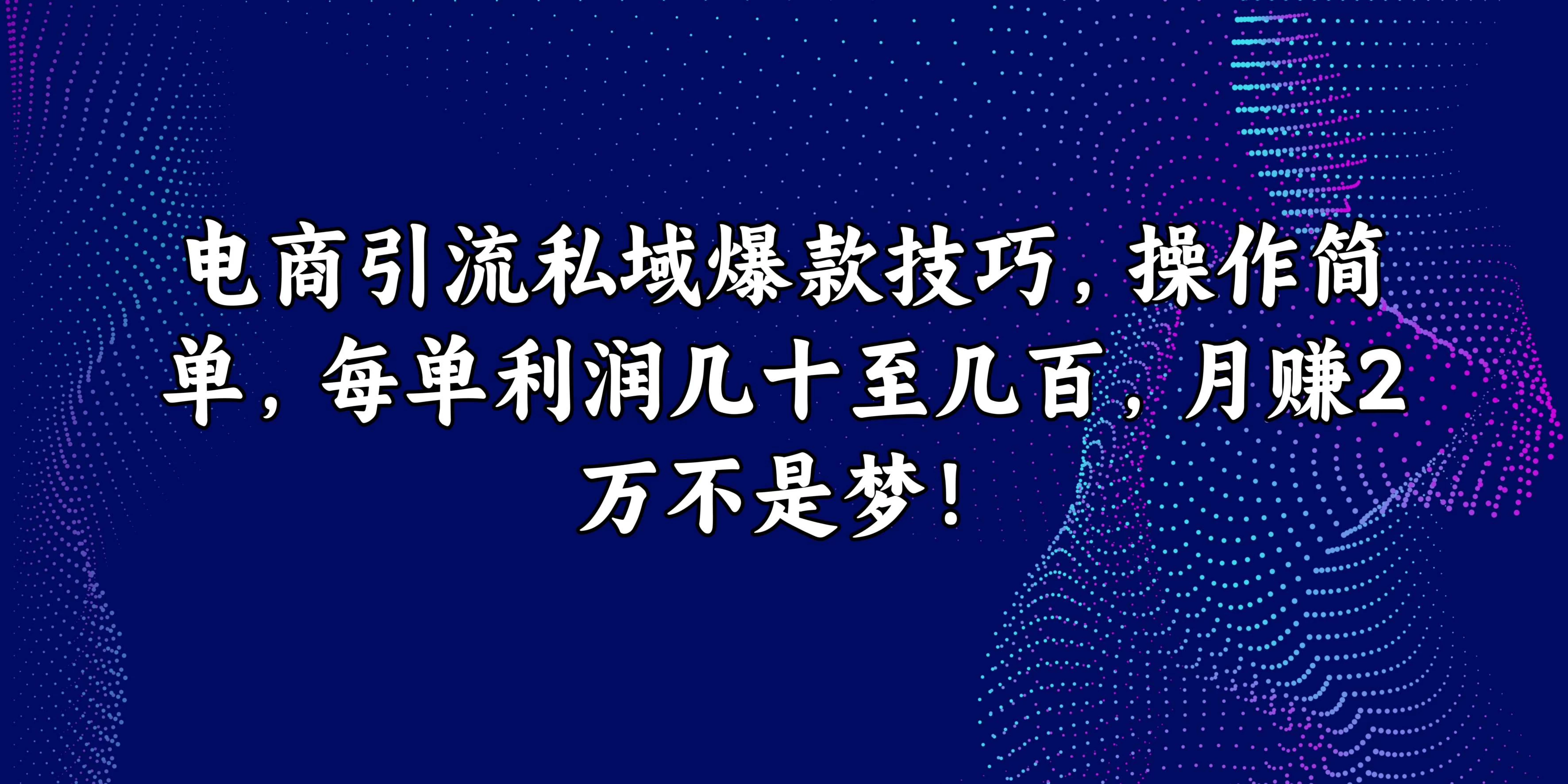 电商引流私域爆款技巧，操作简单，每单利润几十至几百，月赚2万不是梦！CityMate项目资源网项目资源网