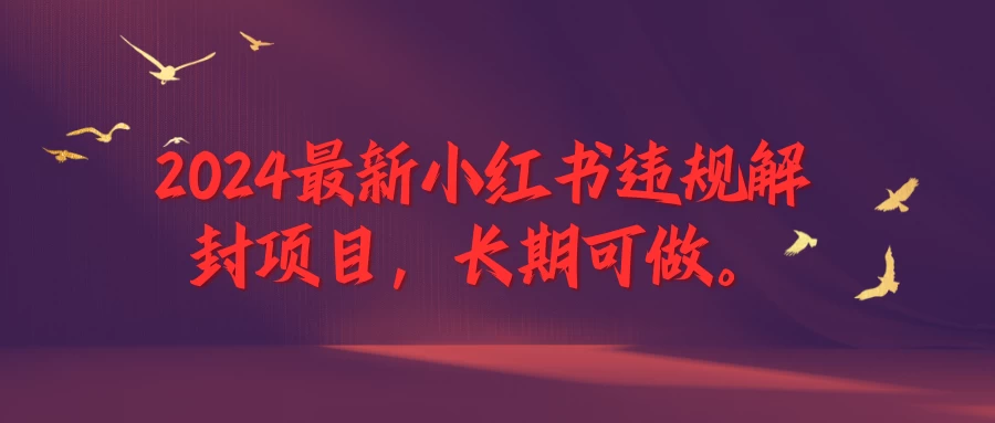 2024最新小红书违规解封项目，一个可以做到退休的项目CityMate项目资源网项目资源网
