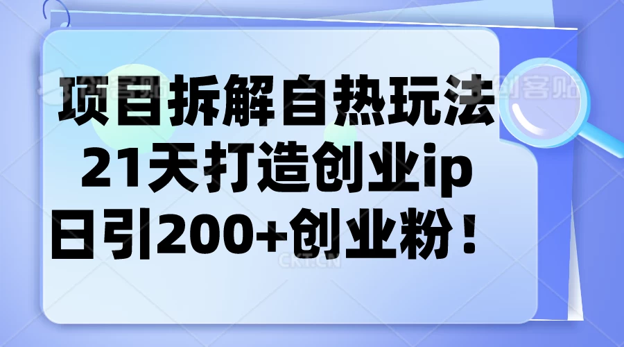 项目拆解自热玩法，21天打造创业IP，日引200+创业粉CityMate项目资源网项目资源网