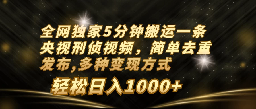 全网独家5分钟搬运一条央视刑侦视频，简单去重发布，多种变现方式，轻松日入1000+CityMate项目资源网项目资源网