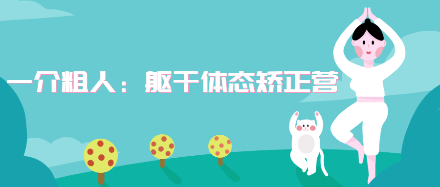 一介粗人：躯干体态矫正营CityMate项目资源网项目资源网