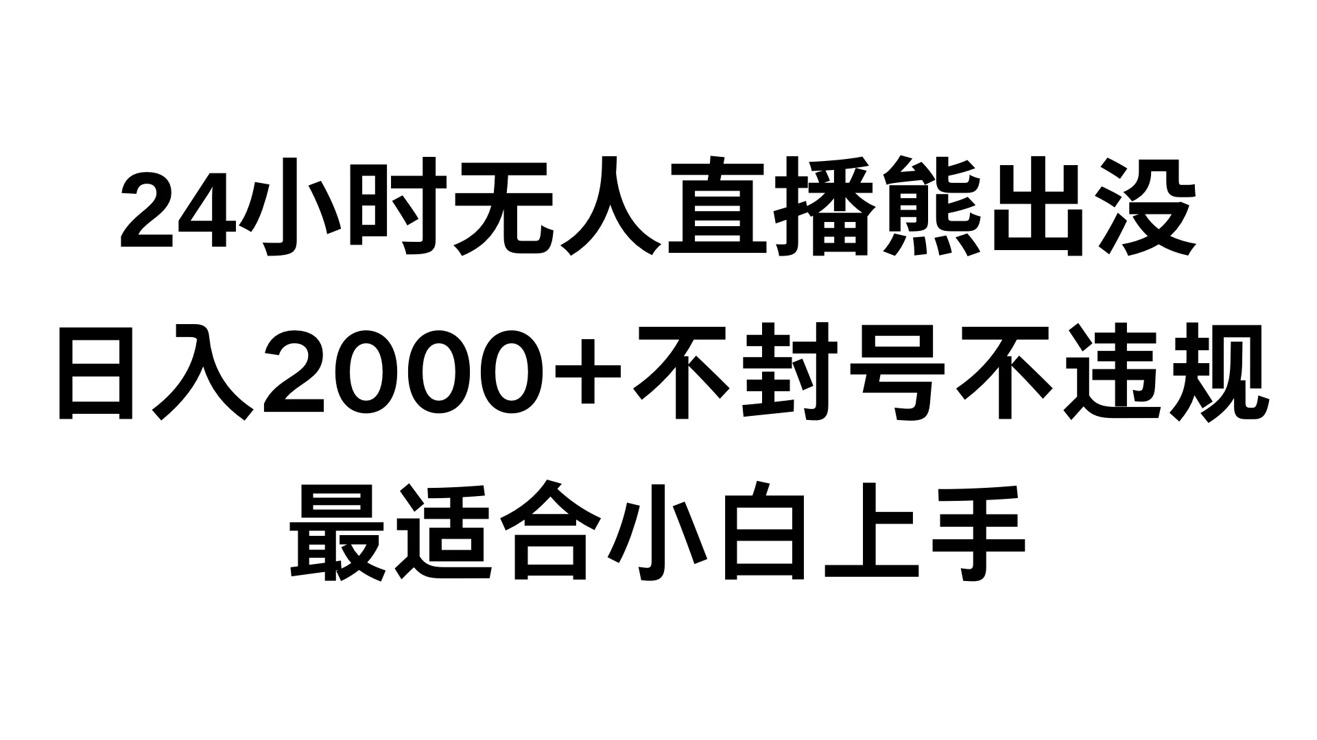 快手24小时无人直播熊出没，不封直播间，不违规，日入2000+，最适合小白上手，保姆式教学CityMate项目资源网项目资源网