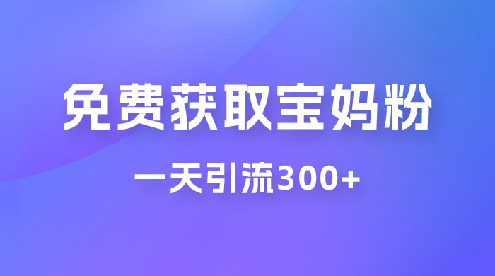 免费玩转获取宝妈粉，一天引流300+，变现超乎你想象CityMate项目资源网项目资源网