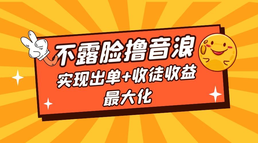 全网最新不露脸撸音浪：跑通自动化成交闭环，实现出单+收徒收益最大化 - 项目资源网