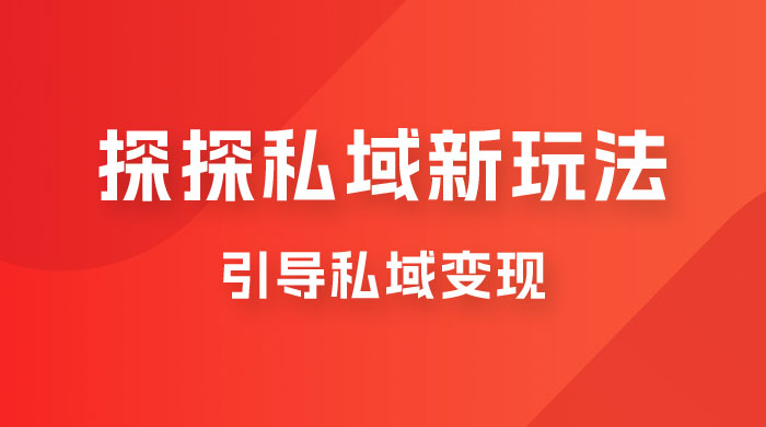 探探私域新玩法，引导私域变现，一部手机日入 500+ 很轻松CityMate项目资源网项目资源网
