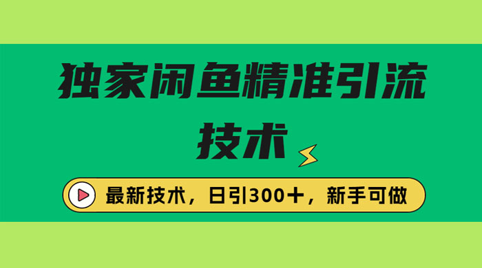 独家闲鱼引流技术，日引 300+ 实战玩法CityMate项目资源网项目资源网