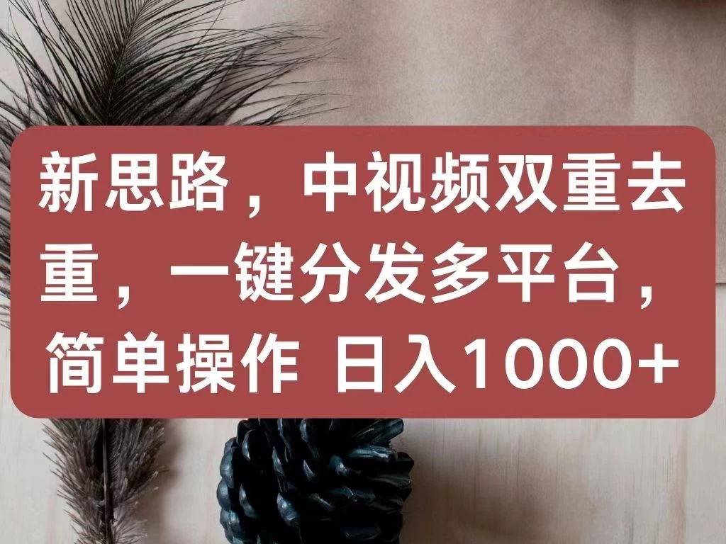 新思路,中视频双重去重,一键分发多平台,简单操作,日入1000+!快来试试吧!CityMate项目资源网项目资源网