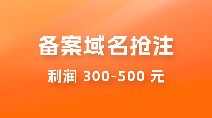 仅揭秘：备案域名抢注，一单利润 300-500 元，需求量大CityMate项目资源网项目资源网