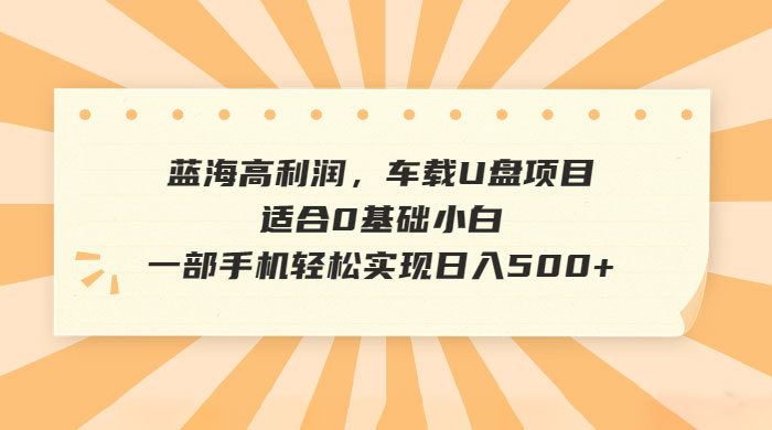 蓝海高利润，车载 U 盘项目，适合 0 基础小白CityMate项目资源网项目资源网