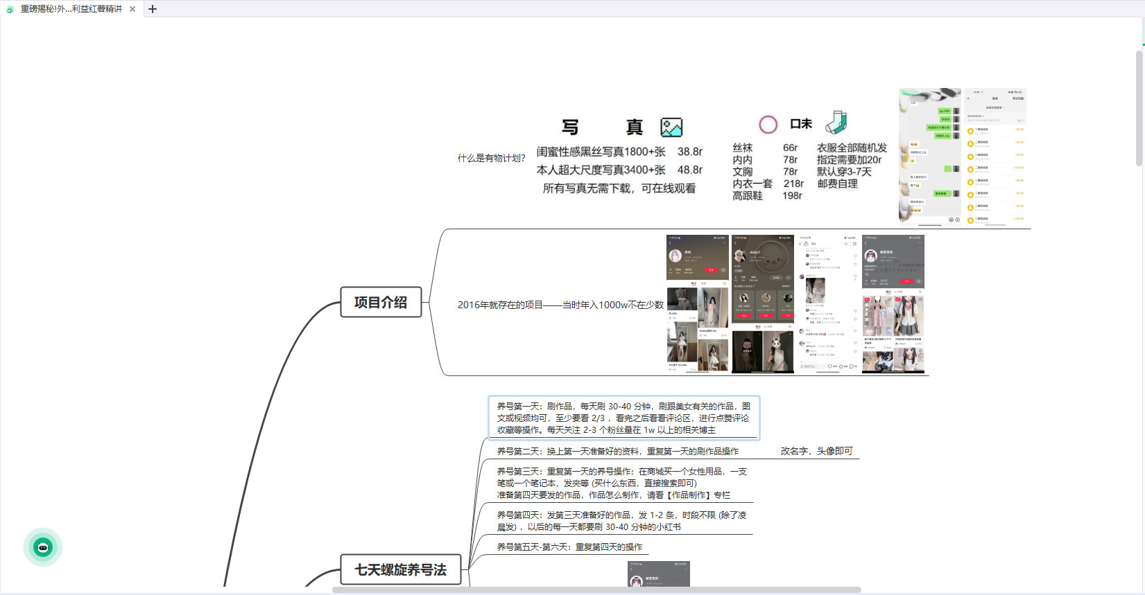 重磅揭秘:外面收费 2980 的小红书有物计划精讲「人性利益」一部手机变现 500+ 重磅揭秘:外面收费 2980 的小红书有物计划精讲「人性利益」一部手机变现 500+