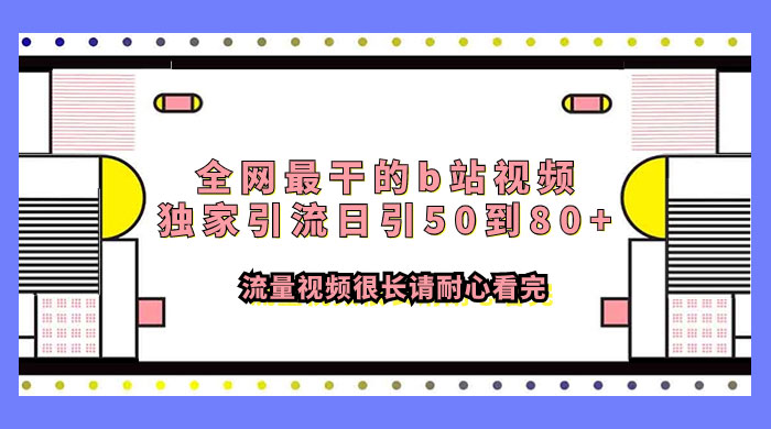 全网最干的 B 站视频独家引流，日引 50~80+ 流量CityMate项目资源网项目资源网