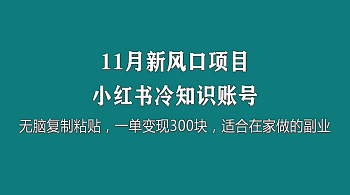 11 月新风口项目，小红书冷知识账号，无脑复制粘贴，一单变现 300 块，适合在家做的副业CityMate项目资源网项目资源网