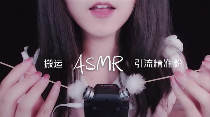 靠搬运 ASMR 视频，引流精准粉，私域单日变现 500+CityMate项目资源网项目资源网