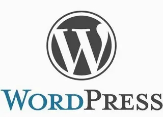 WordPress v6.0.2 中文正式版发布及优化代码CityMate项目资源网项目资源网