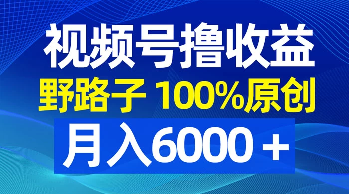 视频号野路子撸收益，100% 原创，条条爆款，月入 6000+ - 项目资源网