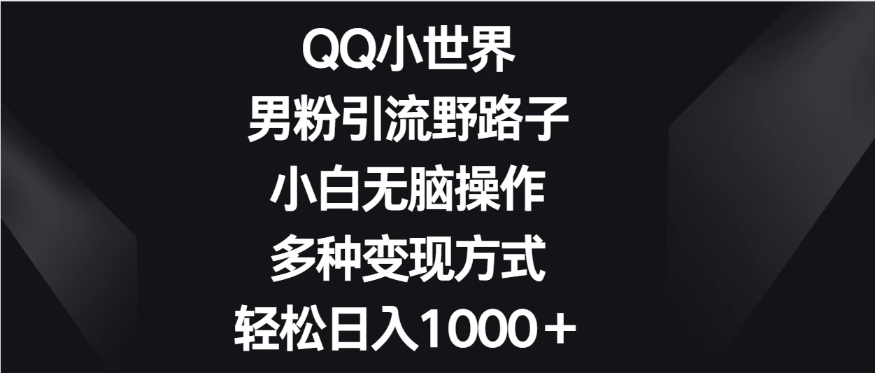QQ小世界男粉引流野路子，小白无脑操作，多种变现方式轻松日入1000＋CityMate项目资源网项目资源网