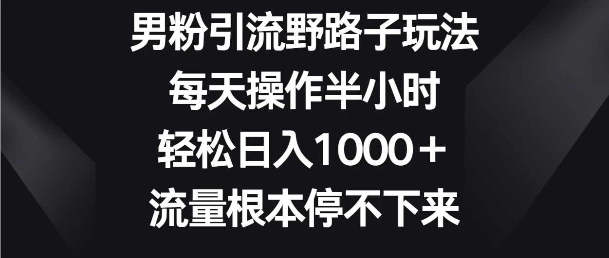 男粉引流野路子玩法，每天操作半小时轻松日入1000＋，流量根本停不下来CityMate项目资源网项目资源网