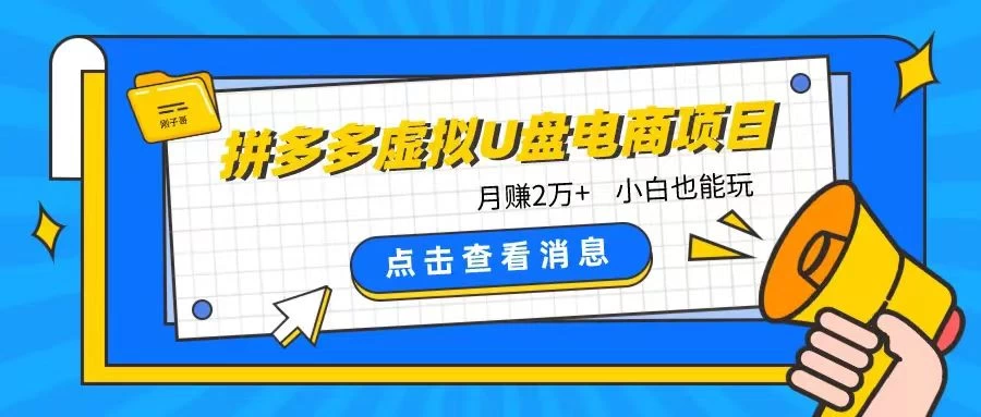 拼多多虚拟U盘电商红利项目：月赚2万+，新手小白也能玩CityMate项目资源网项目资源网