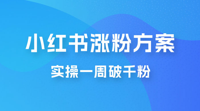 小红书爆款涨粉方案，实操一周破千粉，利用商单轻松变现，在家就能月入过万CityMate项目资源网项目资源网