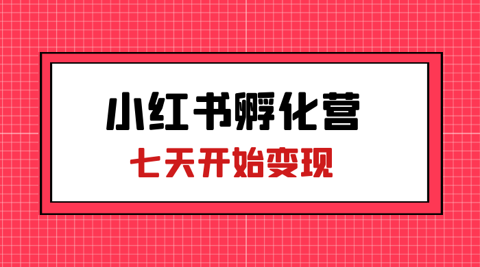 价值 2000+ 的小红书孵化营项目，超级大蓝海，七天即可开始变现，稳定月入 1W+CityMate项目资源网项目资源网