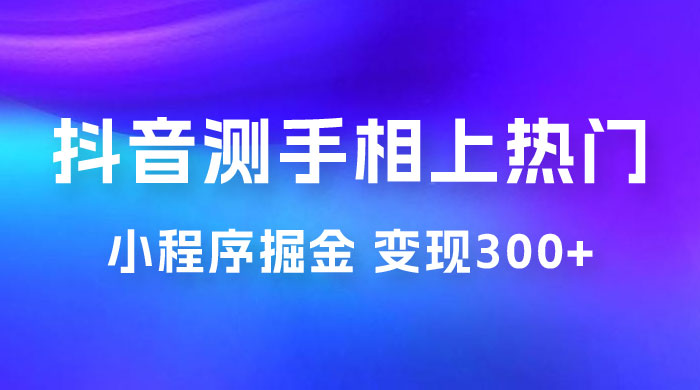 抖音小程序掘金：测手相上热门，当天见收益一小时变现 300+CityMate项目资源网项目资源网