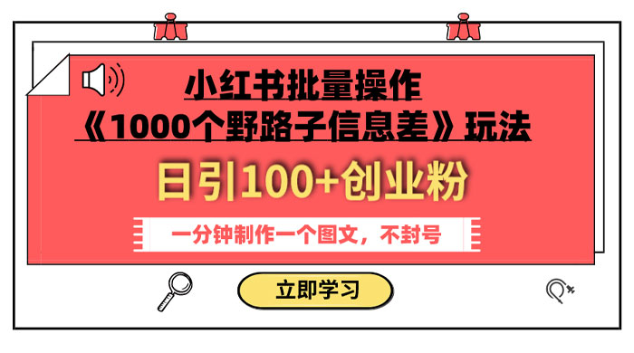 小红书批量操作《 1000 个野路子信息差》玩法，日引 100+ 创业粉，一分钟一个图文CityMate项目资源网项目资源网