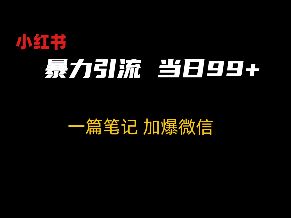 小红书暴力引流方法，当日99+，非常简单的引流方法CityMate项目资源网项目资源网