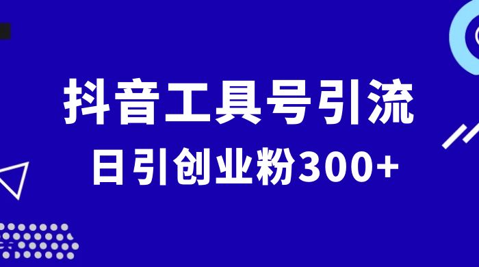 抖音工具号引流玩法，日引创业粉 300+CityMate项目资源网项目资源网