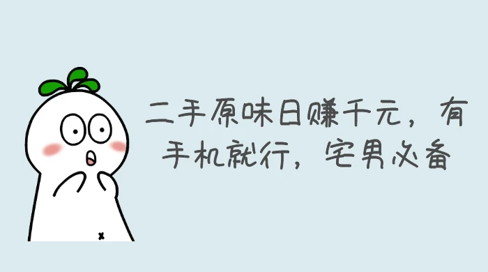 二手原味日赚千元，有手机就行，宅男必备【揭秘】CityMate项目资源网项目资源网