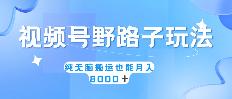 视频号野路子玩法,纯无脑搬运小白可做,月入8000+ - 项目资源网
