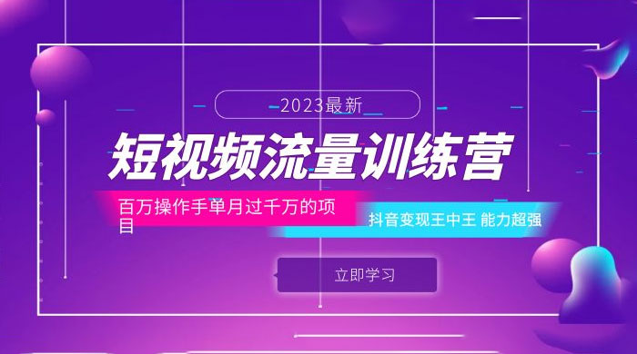 短视频流量训练营：百万操作手，抖音变现王中王，能力超强 - 项目资源网