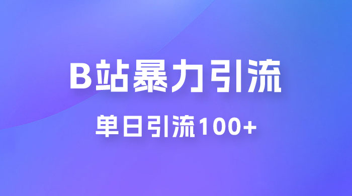 B 站暴力引流新玩法，单日引流 100+CityMate项目资源网项目资源网