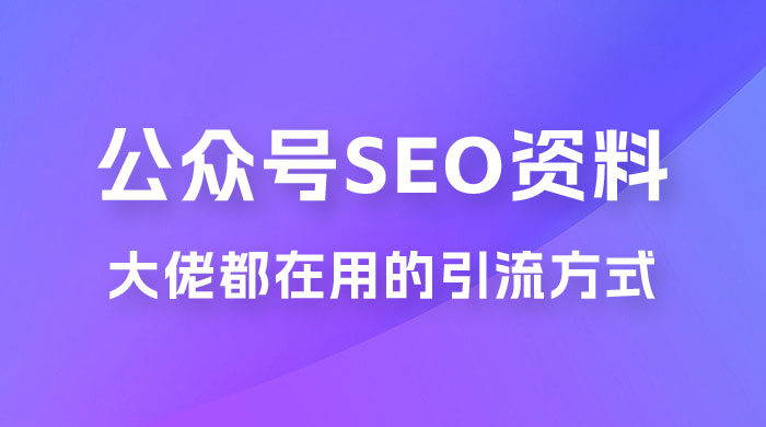 公众号 SEO 虚拟资料，操作简单，日入 500+，可批量操作CityMate项目资源网项目资源网