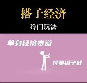 靠搭子经济月入5万每天两小时简单无脑好上手CityMate项目资源网项目资源网