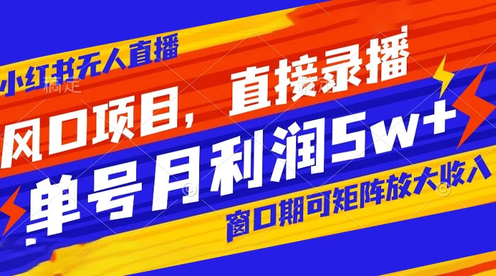 风口项目,小红书无人直播带货,直接录播,可矩阵,月入 5w+ - 项目资源网