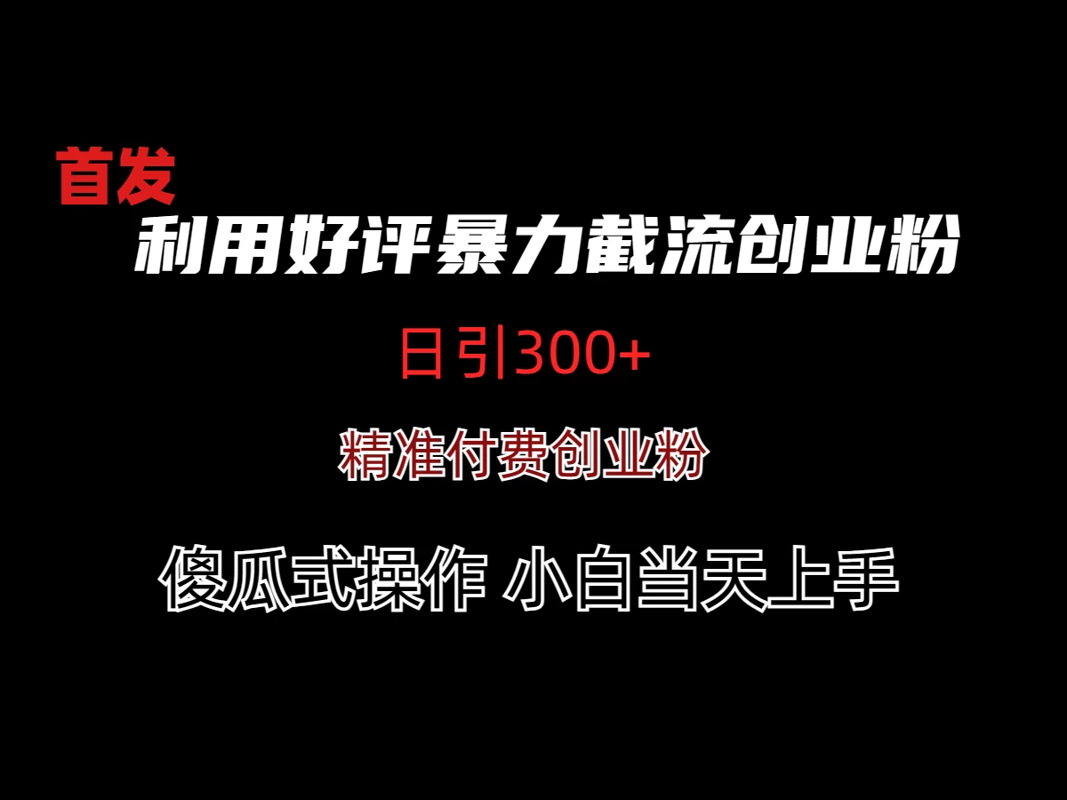 利用好评暴力截流付费创业粉，无需工具，简单且暴力的一个玩法 - 项目资源网