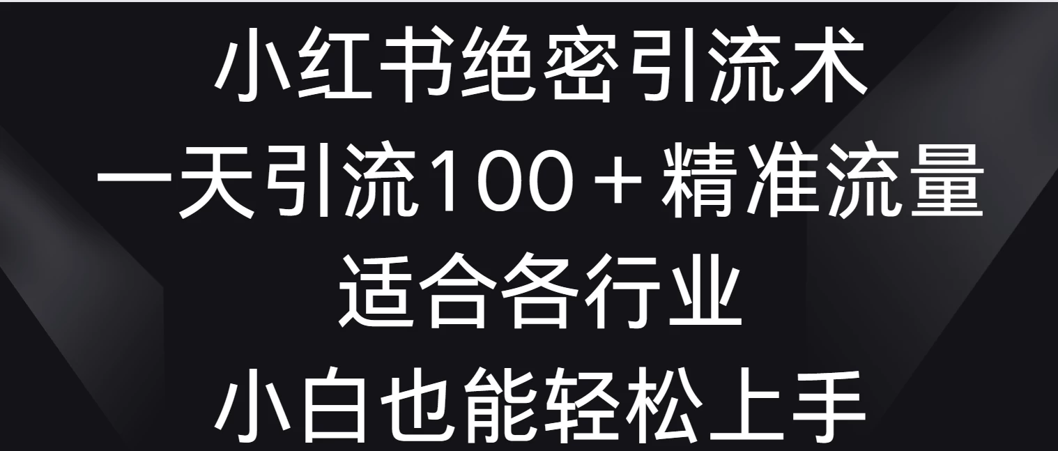 小红书绝密引流术，一天引流100＋精准流量，适合各个行业，小白也能轻松上手CityMate项目资源网项目资源网