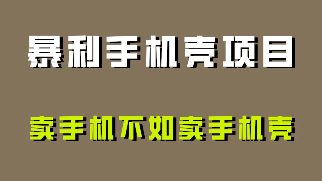 卖手机不如卖手机壳，暴利手机壳项目玩法拆解！CityMate项目资源网项目资源网