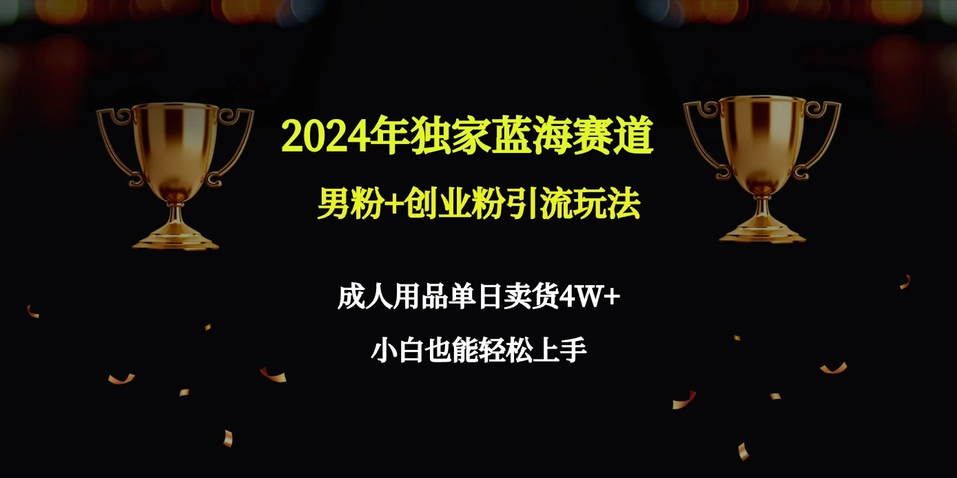 2024独家蓝海赛道，男粉＋创业粉引流玩法。CityMate项目资源网项目资源网